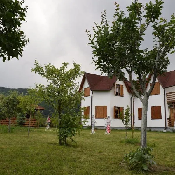 Holiday house Casa Dejani、Sebeşのホテル