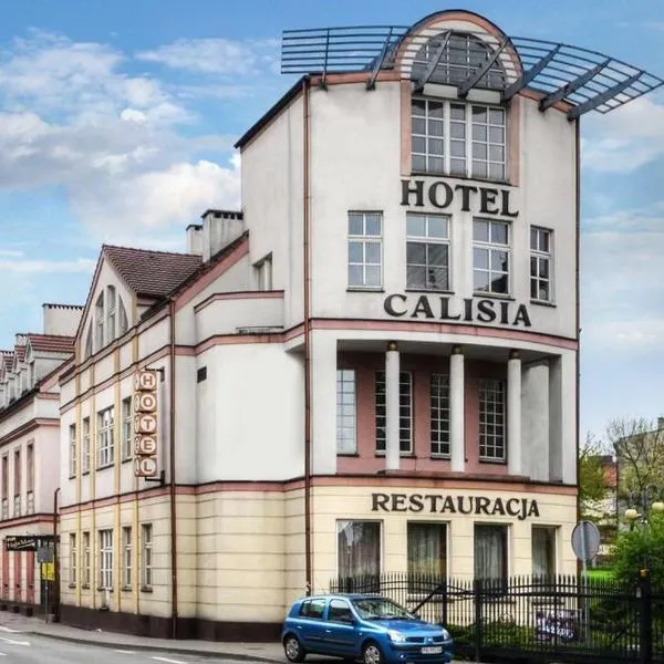 Hotel Calisia, hotel in Tłokinia