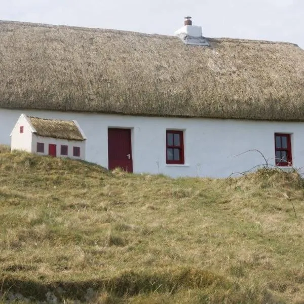 Aran Thatch Cottage, hotel in Inis Mor