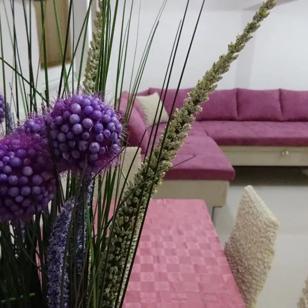 Jasmin White Apartment, ξενοδοχείο στα Σκόπια