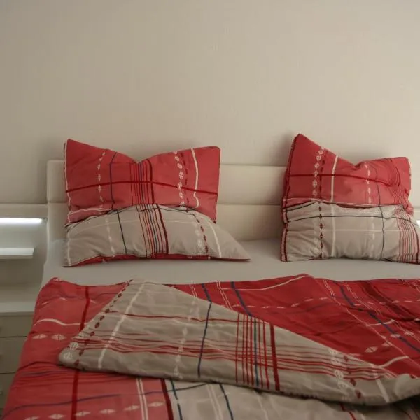 ApartmentBuyMetzingen, hotel en Riederich