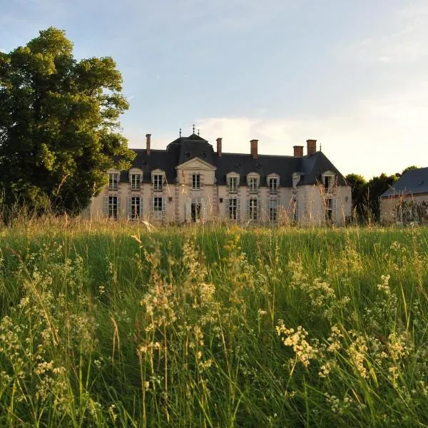 Chateau La Touanne Loire valley, hotel en La Chapelle-Onzerain