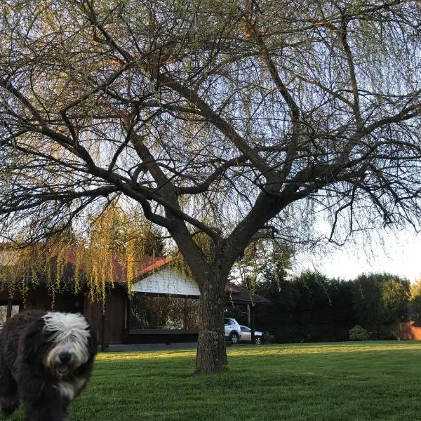 Casa Los Notros, hotel v destinaci Osorno