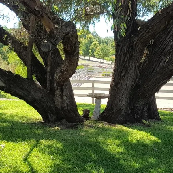 Equestrian Farm Stay，One Tree Hill的飯店