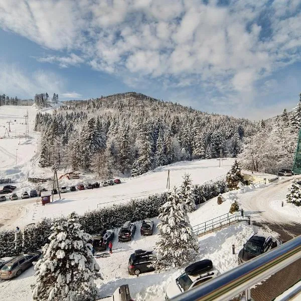 Hotel Pegaz, ξενοδοχείο σε Krynica Zdrój