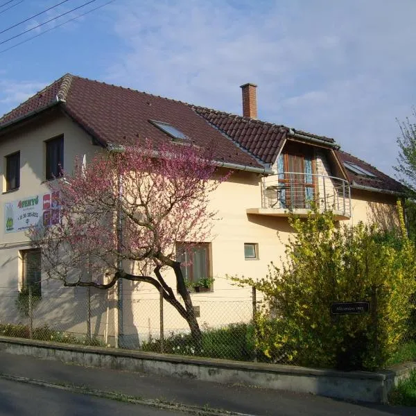 4Fenyő Magánszállás Nagyatád, hotel in Vizvár