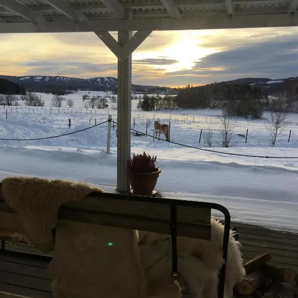 Utsikten, hotel v destinaci Borlänge