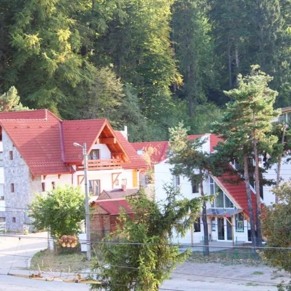 Pension Green Park, Hotel in Tărlungeni