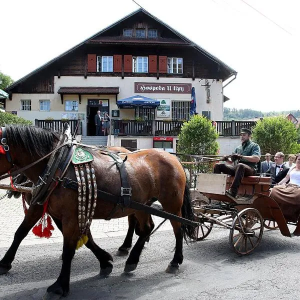 Hospoda U Lípy, hotel a Ostrov