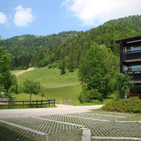 Oostenrijk-walchsee-Hasewinkel, hotel in Walchsee