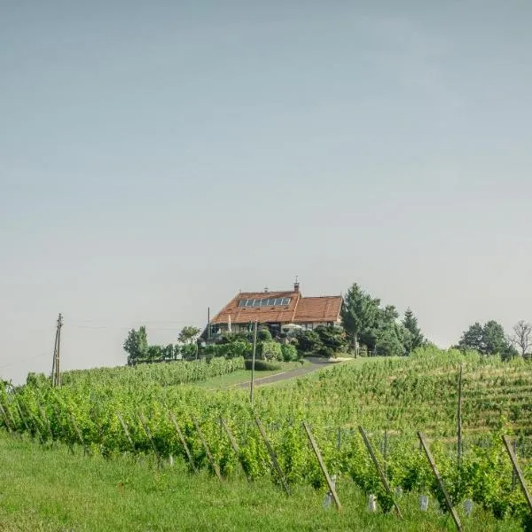 Taverna & Wine Jeruzalem, hotel v destinaci Ivanjkovci