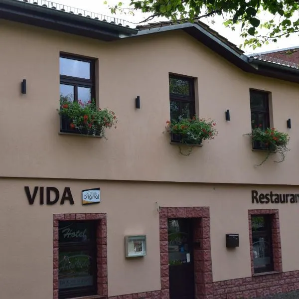 Hotel Arte Vida OHG, hotel in Welzow