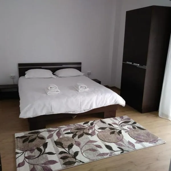 Alexys Residence 8, hotel in Iaşi