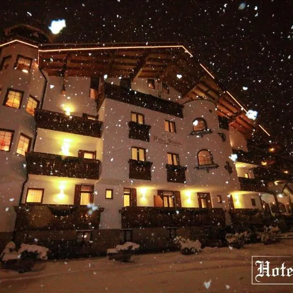 Hotel Stalon Alpine Chic、サン・マルティーノ・ディ・カストロッツァのホテル