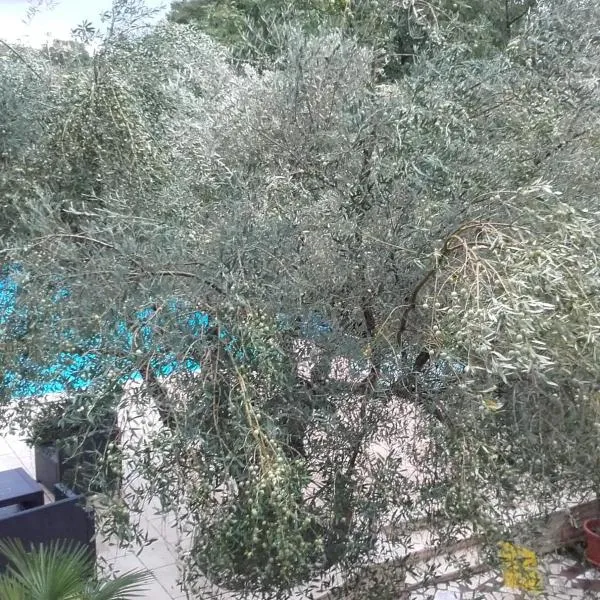 Villa Carolina, Hotel in Vabriga