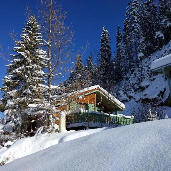 Chalet Daria, hotel i Prémanon