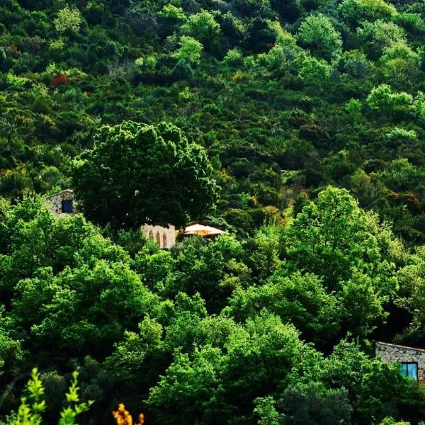 il cannito, hotel in Cicerale