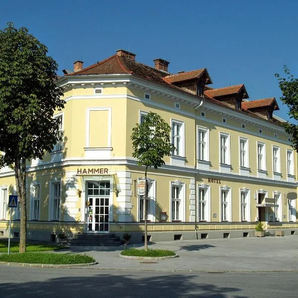 Hotel Hammer, hotel in Hof