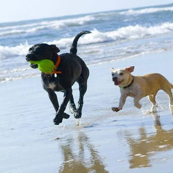 Romantic Cosy Cottage with Beach & Attractions just mins away! Perfect for Couples & Family Stays with Free Parking, Large Garden & Free WiFi – hotel w mieście Sutton on Sea