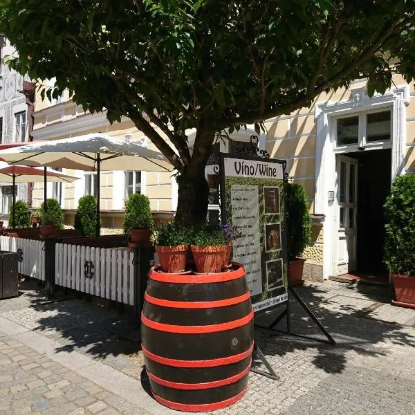 Hotel U Růže, hotel v destinaci Slavonice