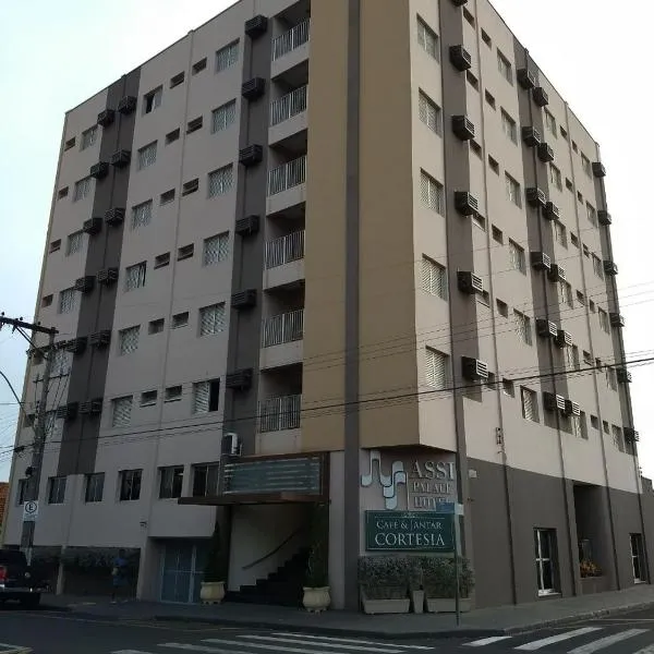 Assi Palace Hotel, hotel em Mirassol