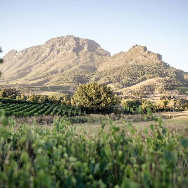 Le Pommier Wine Estate, hotel v destinaci Stellenbosch