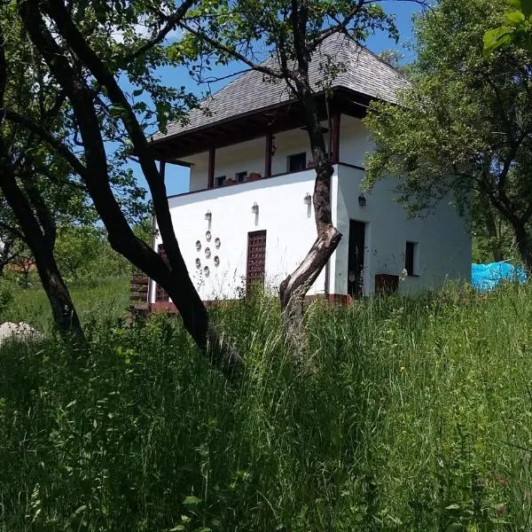 Cottage Poe, hotel in Măţău