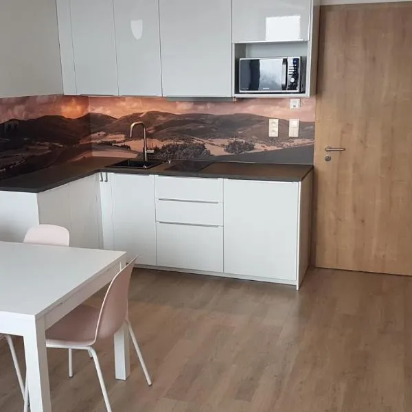 Apartmány Dolní Morava, hotel in Dolní Morava
