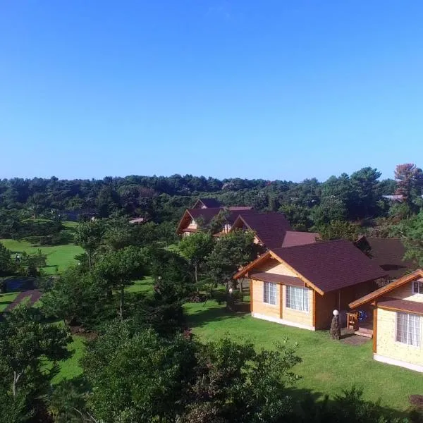 Jeju Bille Log Pension, hotel in Seogwipo