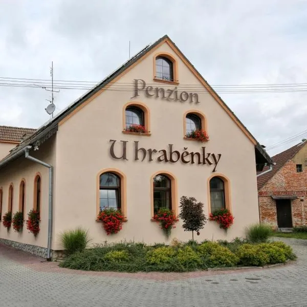 Penzion U Hraběnky, hotel di Suchý