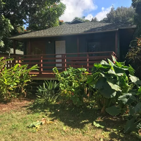 Backpackers Vacation Inn and Plantation Village, hotell i Haleiwa