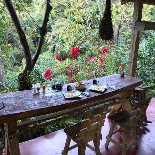 Finca San Rafael - Cafe y Cacao, hotel v destinaci Minca