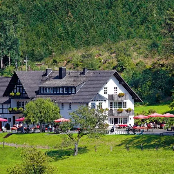 Gut Ahe Landgasthof Cafe Event, hotel in Kirchhundem