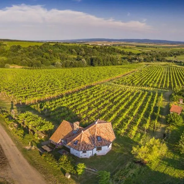 Robinson Vila Kitokret – hotel w mieście Kutjevo
