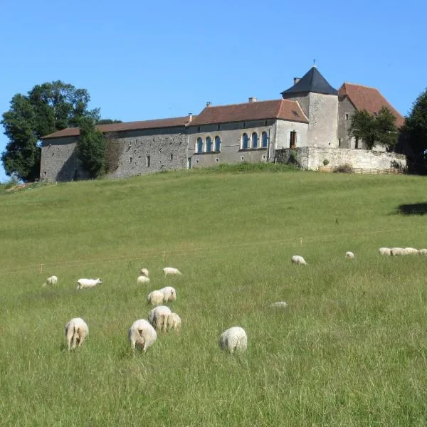 Nature et Piscine au sommet du Périgord、Saint-Médard-dʼExcideuilのホテル