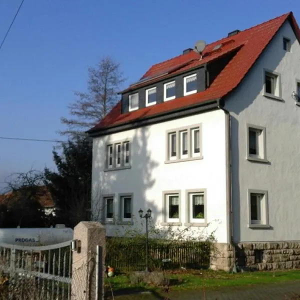 Ferienwohnungen am Schwanenteich, hotel in Hallungen