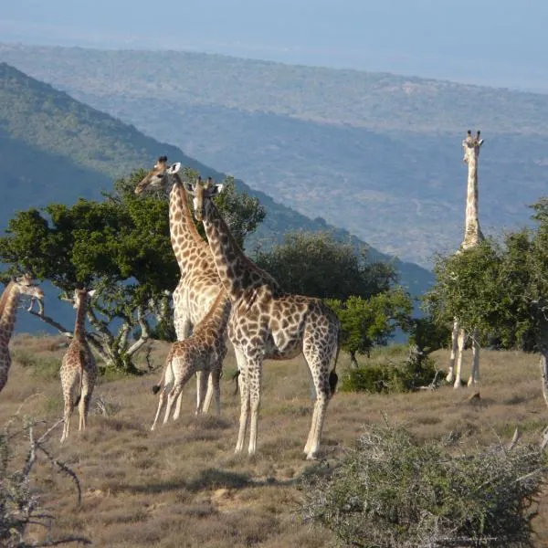 Koedoeskop Private Mountain Reserve, hotel v destinaci Waterford