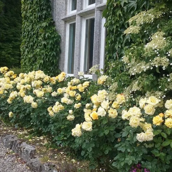 Courtyard Cottage, hotel em Carlow