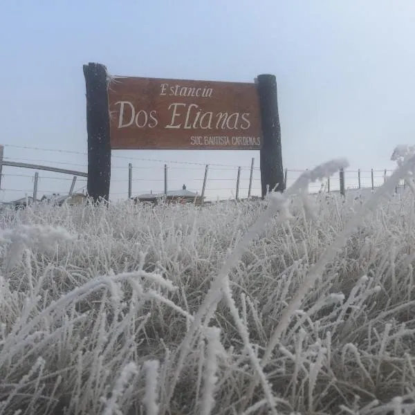 Estancia Dos Elianas، فندق في Cerro Castillo