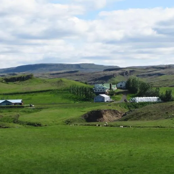 Skyggnir Bed and Breakfast – hotel w mieście Flúðir