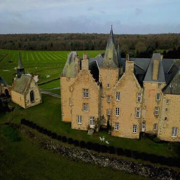 Chateau de Bourgon, hotel in Saint-Baudelle