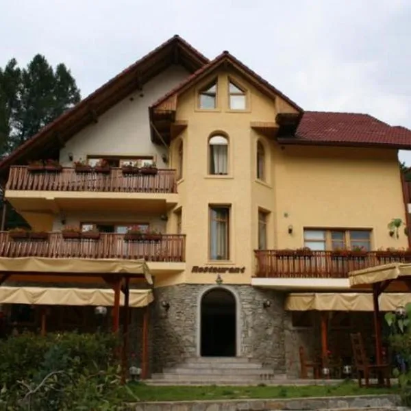Vila Iulia: Vatra Dornei şehrinde bir otel