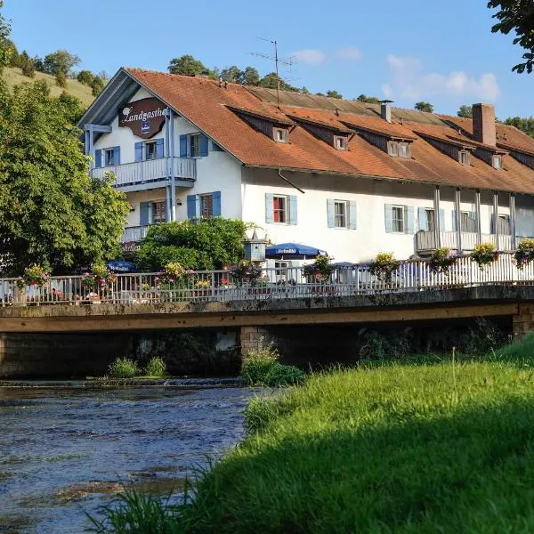 Pension Alter Wirt, hotel di Enkering