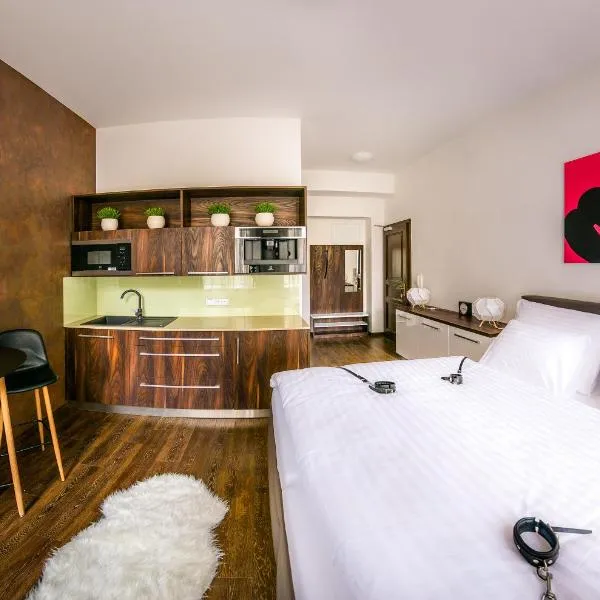 Fifty Shades of Gray studio, city center, hotel in Hradec Králové