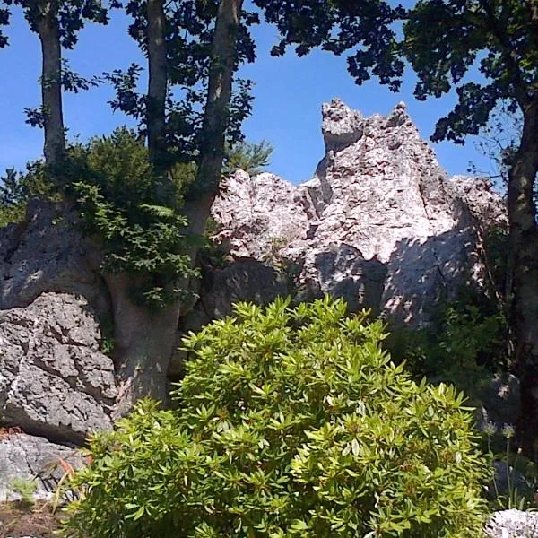 Le Rocher du Samoyède, hotell i Dirinon