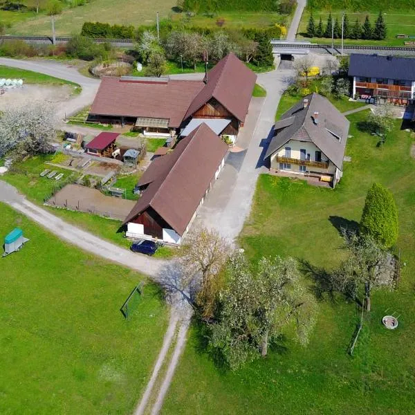 Ferienhof Ressmann-Tratnik, hotell sihtkohas Ledenitzen