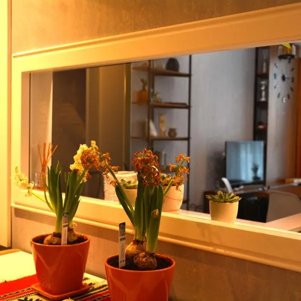 Central Luxury Apartment, hotel in Tirana