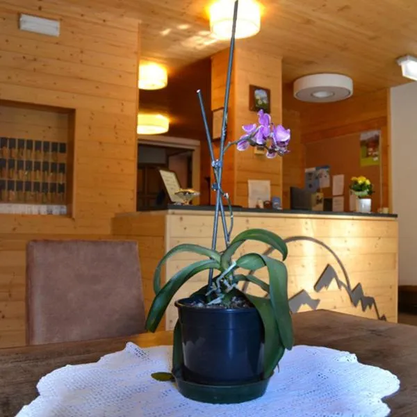 Hotel Valdigne, hotel em Morgex