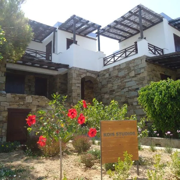 Kois Studios, Hotel in Azolimnos