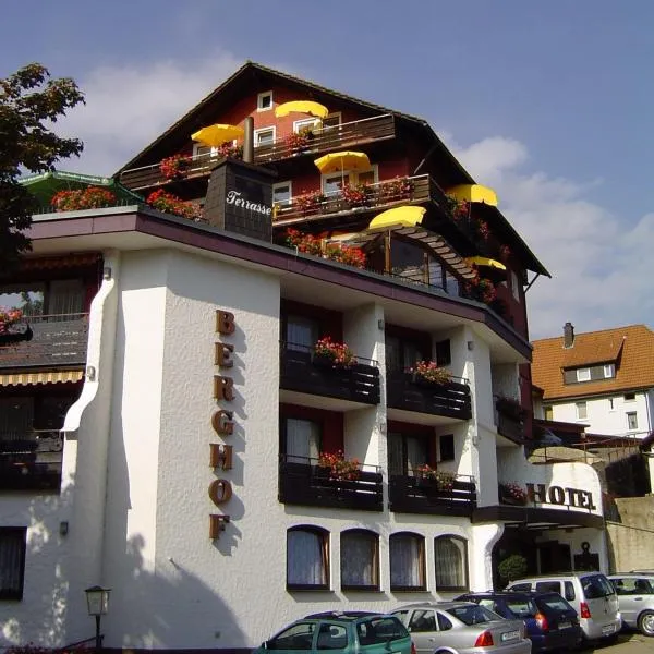 Panoramahotel Berghof, отель в Байрсброне